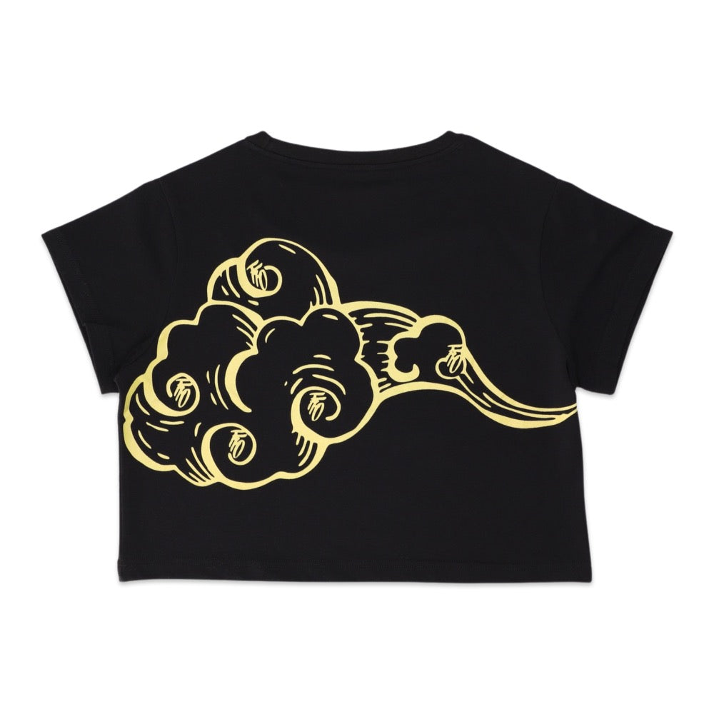 FFO x RSPR - Cropped Tee 10